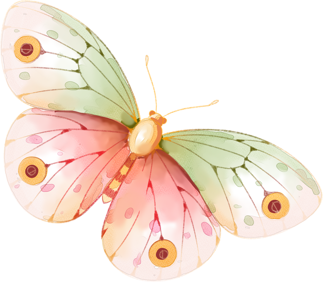 Butterfly watercolor illustration