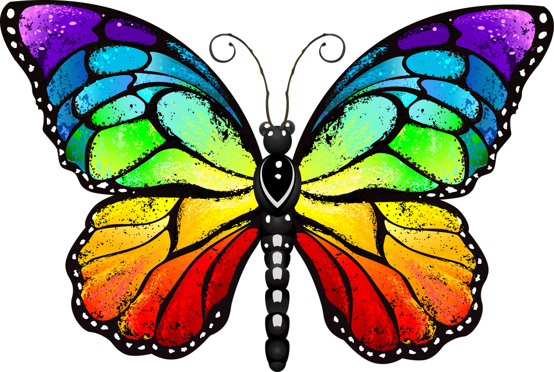 Rainbow Monarch Butterfly